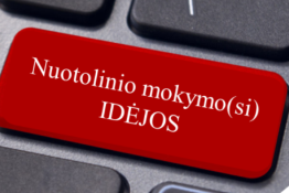 Nuotolinio mokymo(si) idėjos