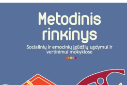 Mokyklų niekas neuždarė...