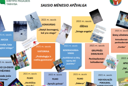 Raseinių rajono švietimo pagalbos tarnybos atviras jaunimo centras. Sausio mėnesio apžvalga