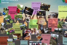 Raseinių rajono švietimo pagalbos tarnybos Atviras jaunimo centras. Gegužės mėnesio apžvalga.