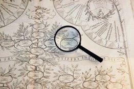 VU biblioteka atnaujino skaitmenines kultūros ir mokslo kolekcijas: nuo grafikos iki LDK teismų