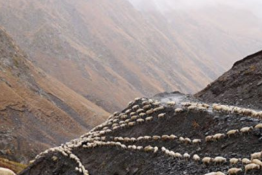 Ot, ir neatšauksiu konkurso aštuntokams!